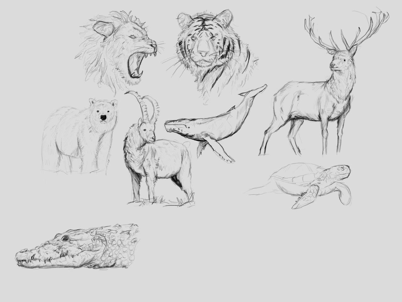 Reference Animals Animal Reference For Artists at Mason Mullan blog