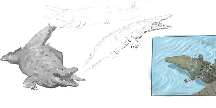 Explore the Best Crocodile Art | DeviantArt