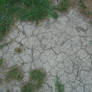 Cracked dirt ground with grass