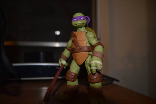 Donatello