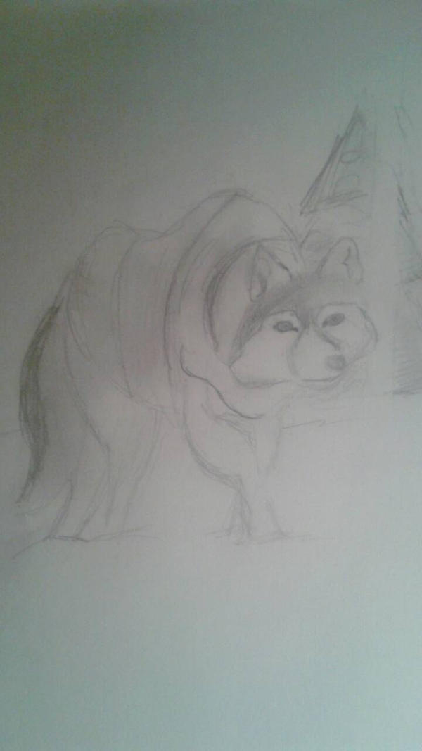 Wolf by disneyfangirl222 on DeviantArt