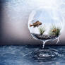 Water Sphere Manipulation