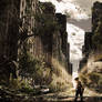 Lone Survivor Advanced Photomanipulation