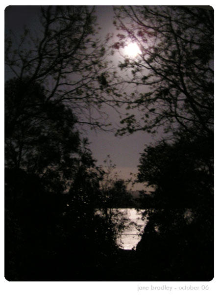 One Night the Moon by vellamo on DeviantArt