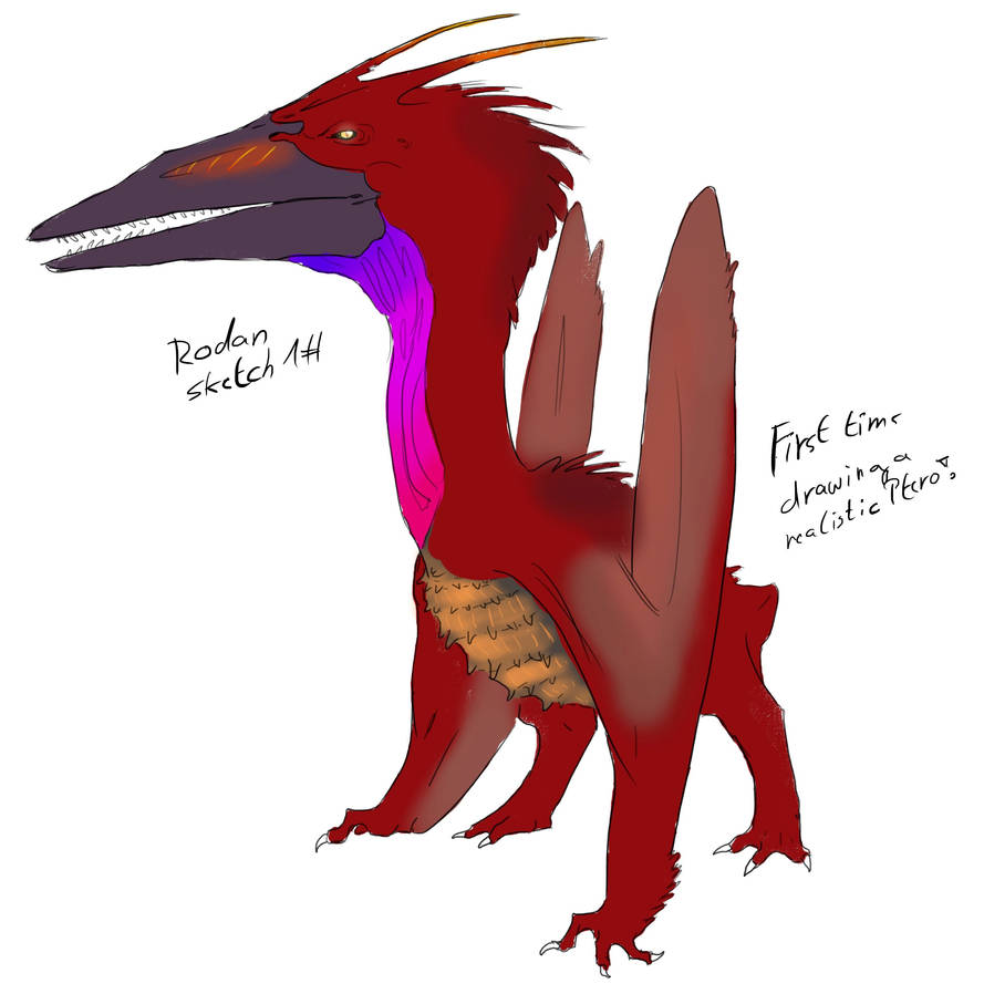 Rodan sketch 1# by Reydoor on DeviantArt