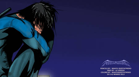 Nightwing of Gotham City 2