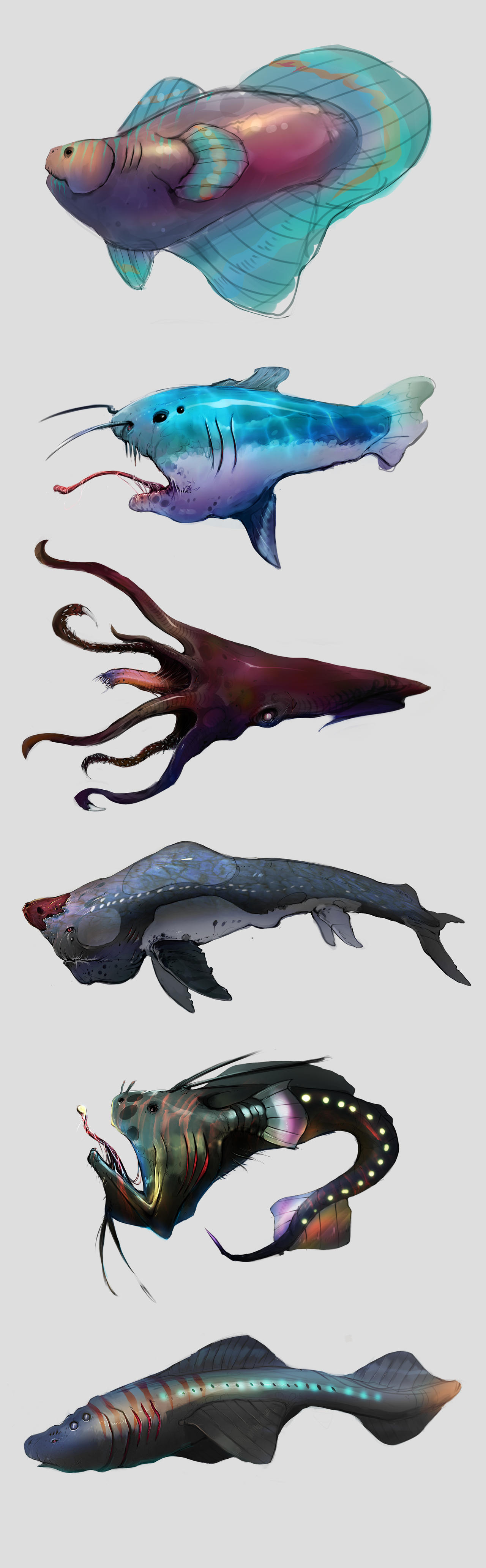 Fish-Collection by Baranha on DeviantArt