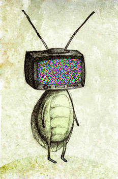 TV Bug