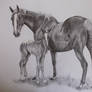 Mare and Foal