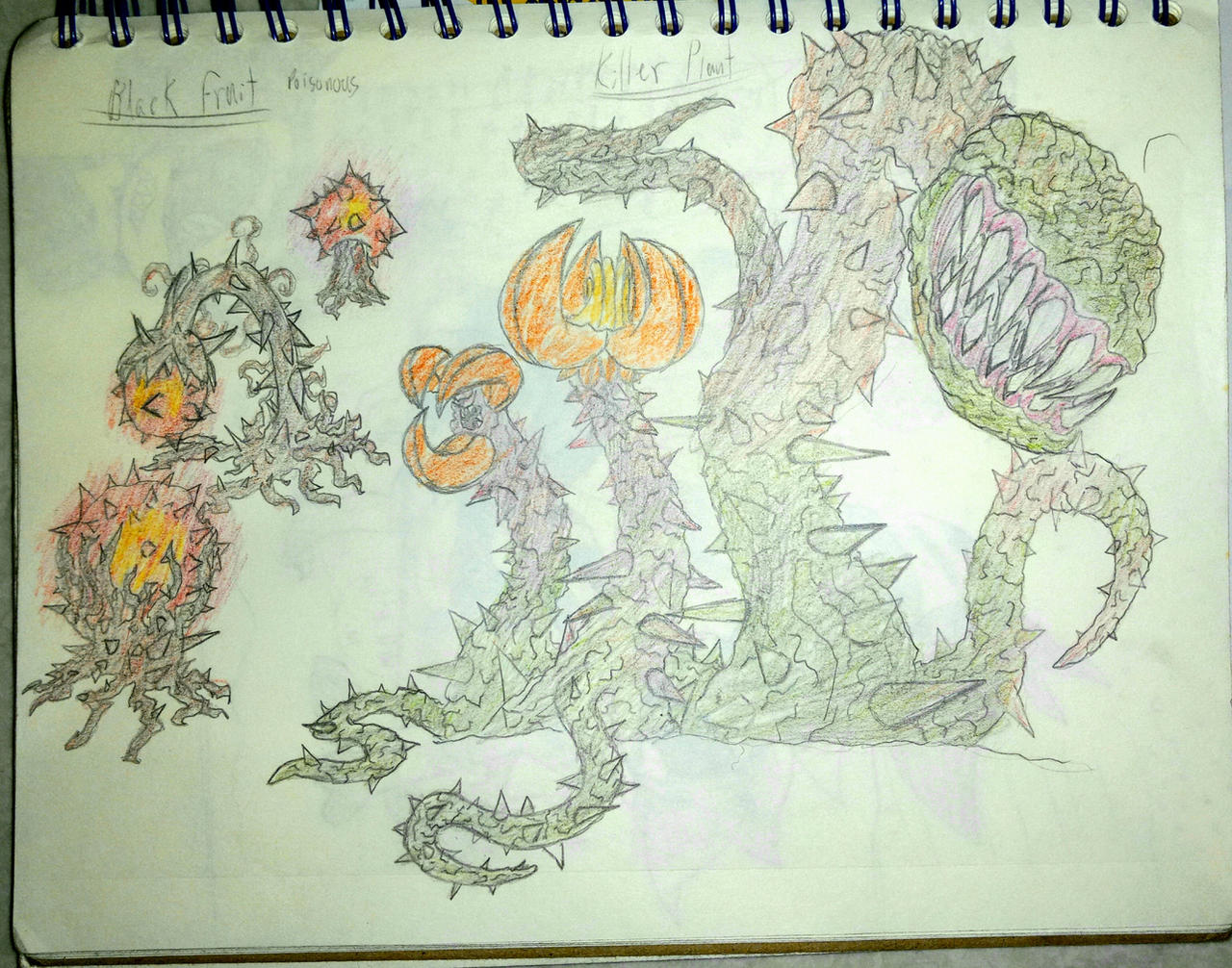 Wraithberry Black Fruit and Killer Plant by Blackdoom86 on DeviantArt