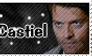 Cas Stamp