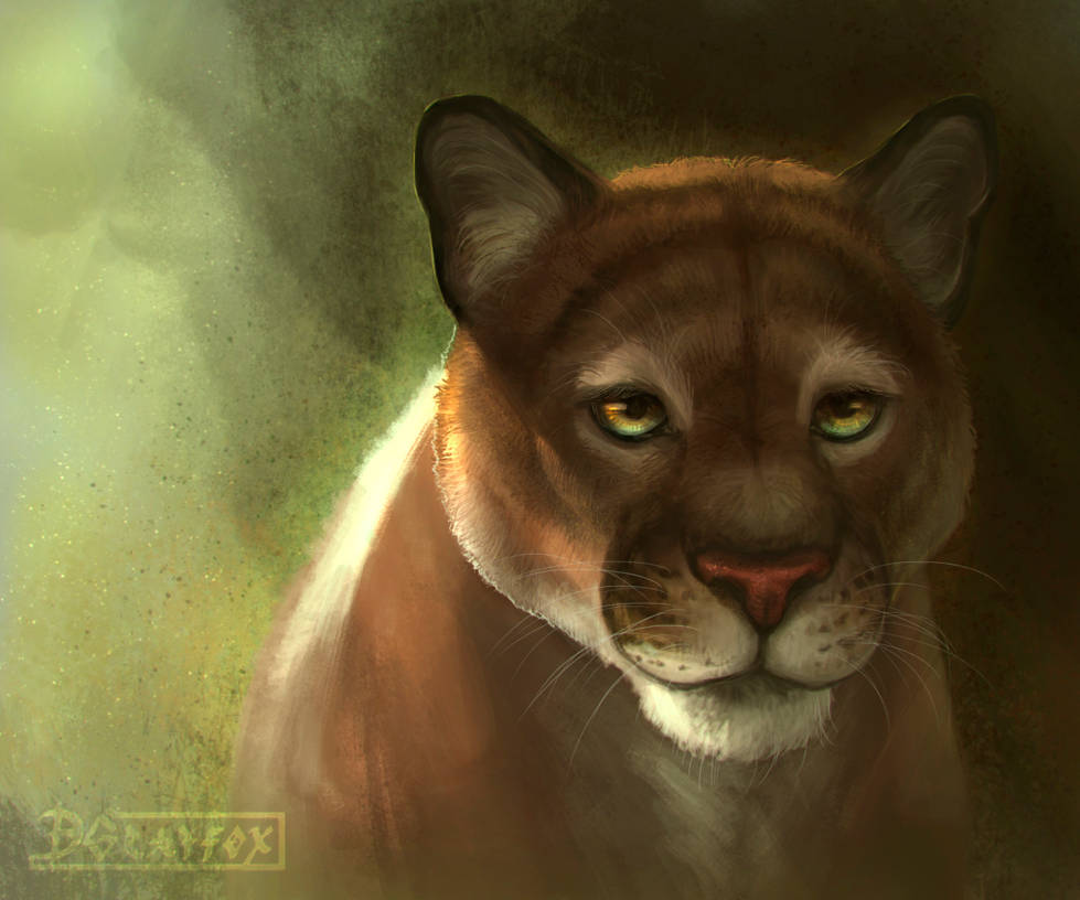 Láminas de animales  Puma_by_dgrayfox_dctxyco-pre.jpg?token=eyJ0eXAiOiJKV1QiLCJhbGciOiJIUzI1NiJ9.eyJzdWIiOiJ1cm46YXBwOjdlMGQxODg5ODIyNjQzNzNhNWYwZDQxNWVhMGQyNmUwIiwiaXNzIjoidXJuOmFwcDo3ZTBkMTg4OTgyMjY0MzczYTVmMGQ0MTVlYTBkMjZlMCIsIm9iaiI6W1t7ImhlaWdodCI6Ijw9ODU0IiwicGF0aCI6IlwvZlwvZGU4YTliYjYtZGQxMS00MTdlLTkxMzUtNDRlMGM3ZmYyMGY2XC9kY3R4eWNvLWM0MjA5MGYyLTI0NzEtNGIwMy04Yjg2LTU5YTU1MTM5MjM3Ni5qcGciLCJ3aWR0aCI6Ijw9MTAyNCJ9XV0sImF1ZCI6WyJ1cm46c2VydmljZTppbWFnZS5vcGVyYXRpb25zIl19