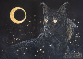 Fantasy cat