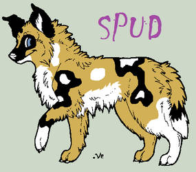 Spud-Profile