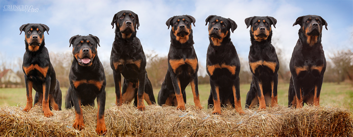 Familyportrait