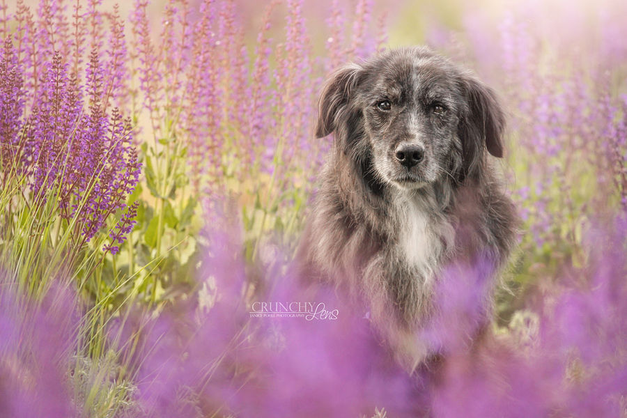 Old boy by dark-cayden Old boy by dark-cayden