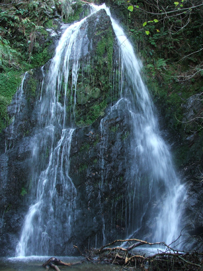 Dhoon Glen