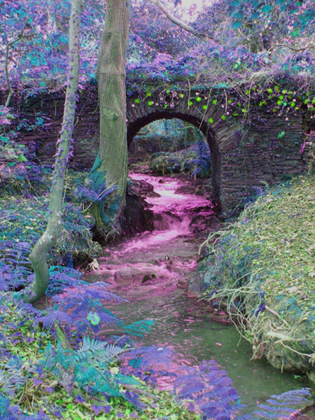 Fairy Bridge