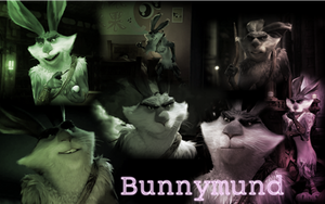 Bunnymund Wallpaper 1