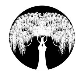 Willow Tree Symbol