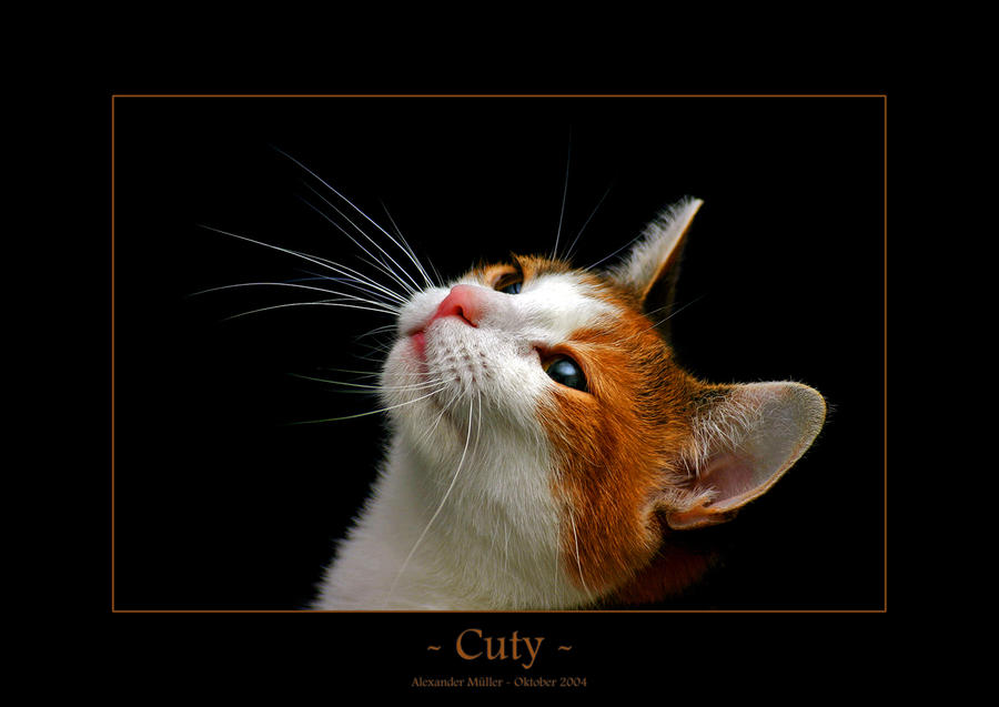 Cuty