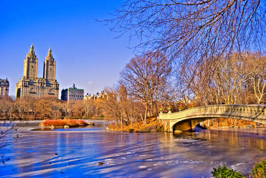 Central Park On Ice