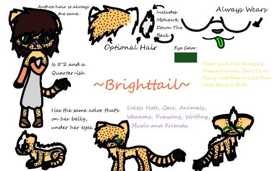 Brighttail 2013