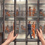 Day 146 in County Jail - (A brief memoir and POV)