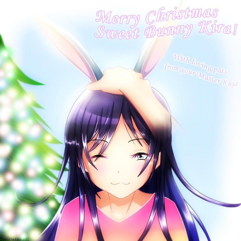 Merry Christmas Bunny!