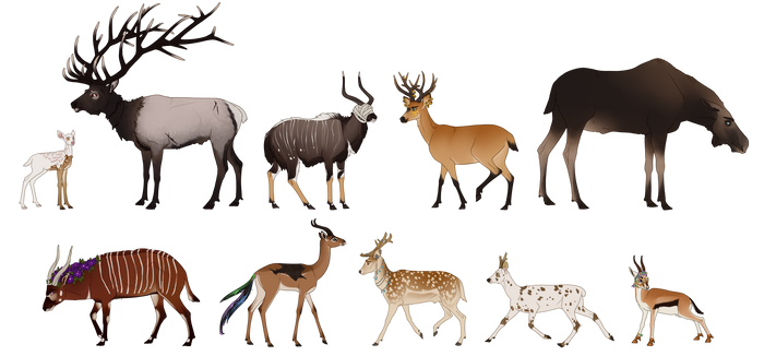 Deers and antelopes