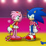 Amy Atrapa A Sonic