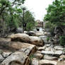 nature around Hampi