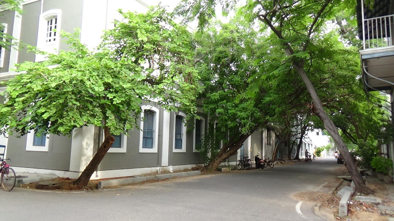 rue Dumas, Pondicherry by SmallCurryLeaf on DeviantArt