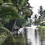 along the Backwaters 9