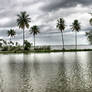 Backwaters during monsoon 2