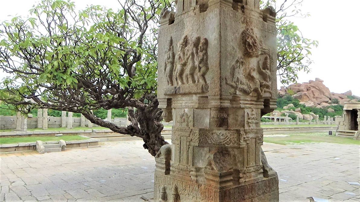 Old tree at Vittala temple site 2 by SmallCurryLeaf on DeviantArt