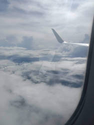 PAL A320 Climbing Out - Wing View