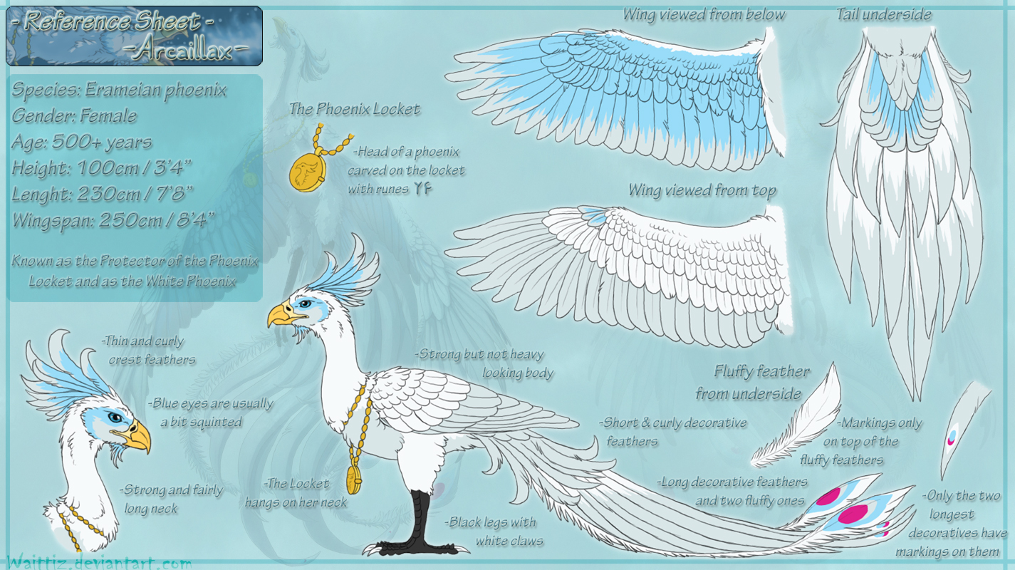 Arcaillax Reference Sheet 2011