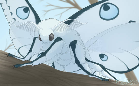 Frost Moth