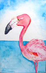 Pink Flamingo