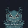 Owl of Minerva