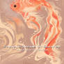 Cornelis Dreams Of Goldfish