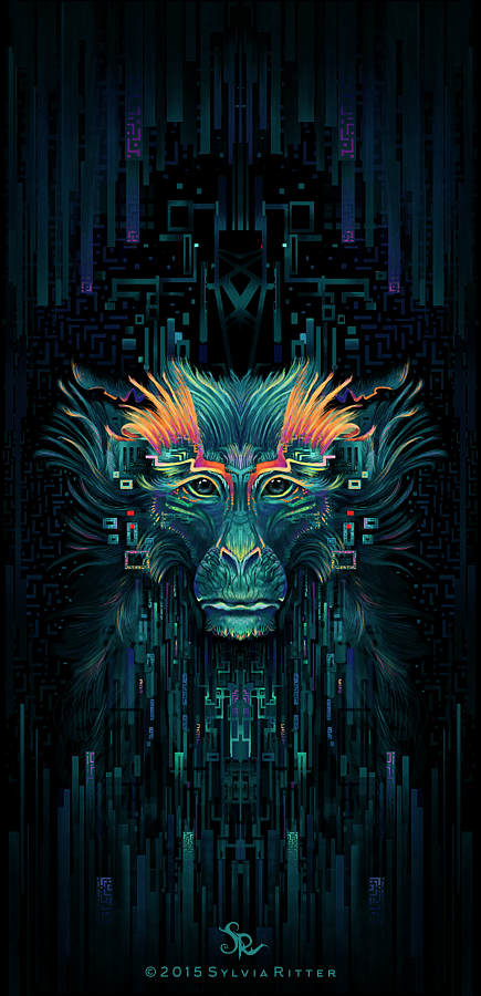 The Shaman Monkey