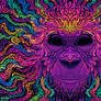 Groovy Gorilla