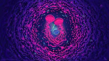 Jammy Jellyfish - Wallpaper - 1920x1080px
