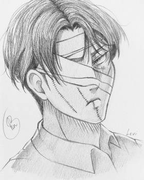 Levi Ackerman 