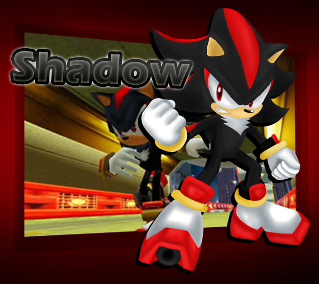 Shadow the Hedgehog