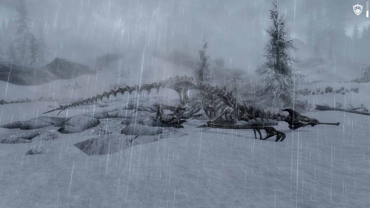 Dragon Corpse Dragon corpse by jacobdotireland on DeviantArt