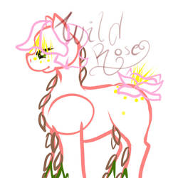 Wild Rose Root Pony
