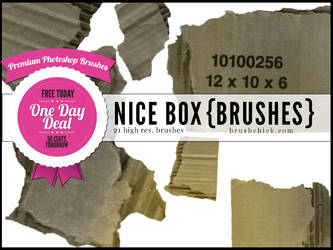 PREMIUM HIGH-RES Photoshop Brushes 18 Nice Box